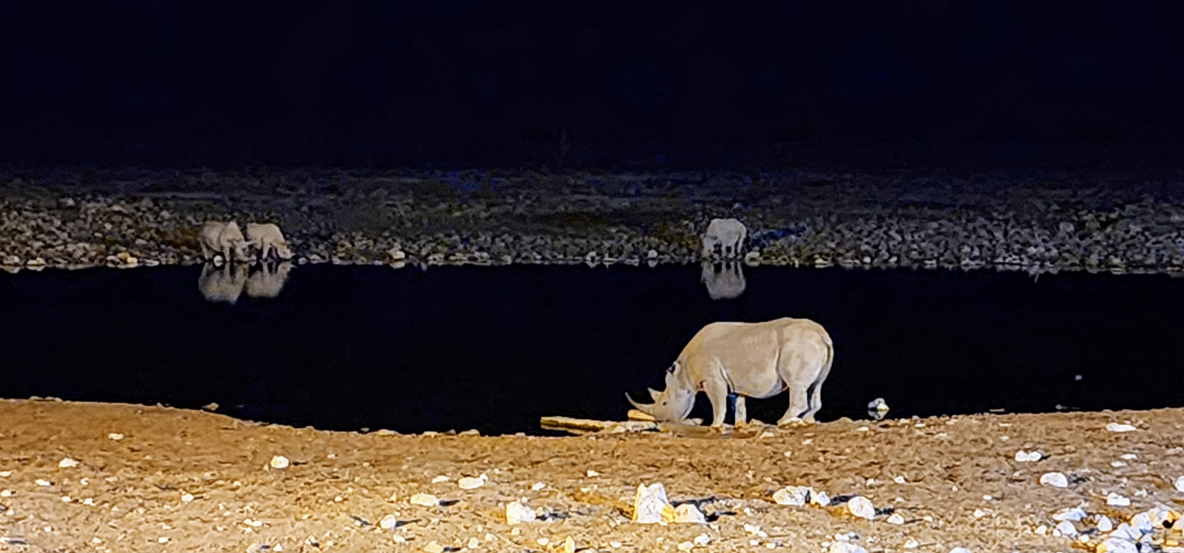 Exploring Namibia’s Etosha National Park