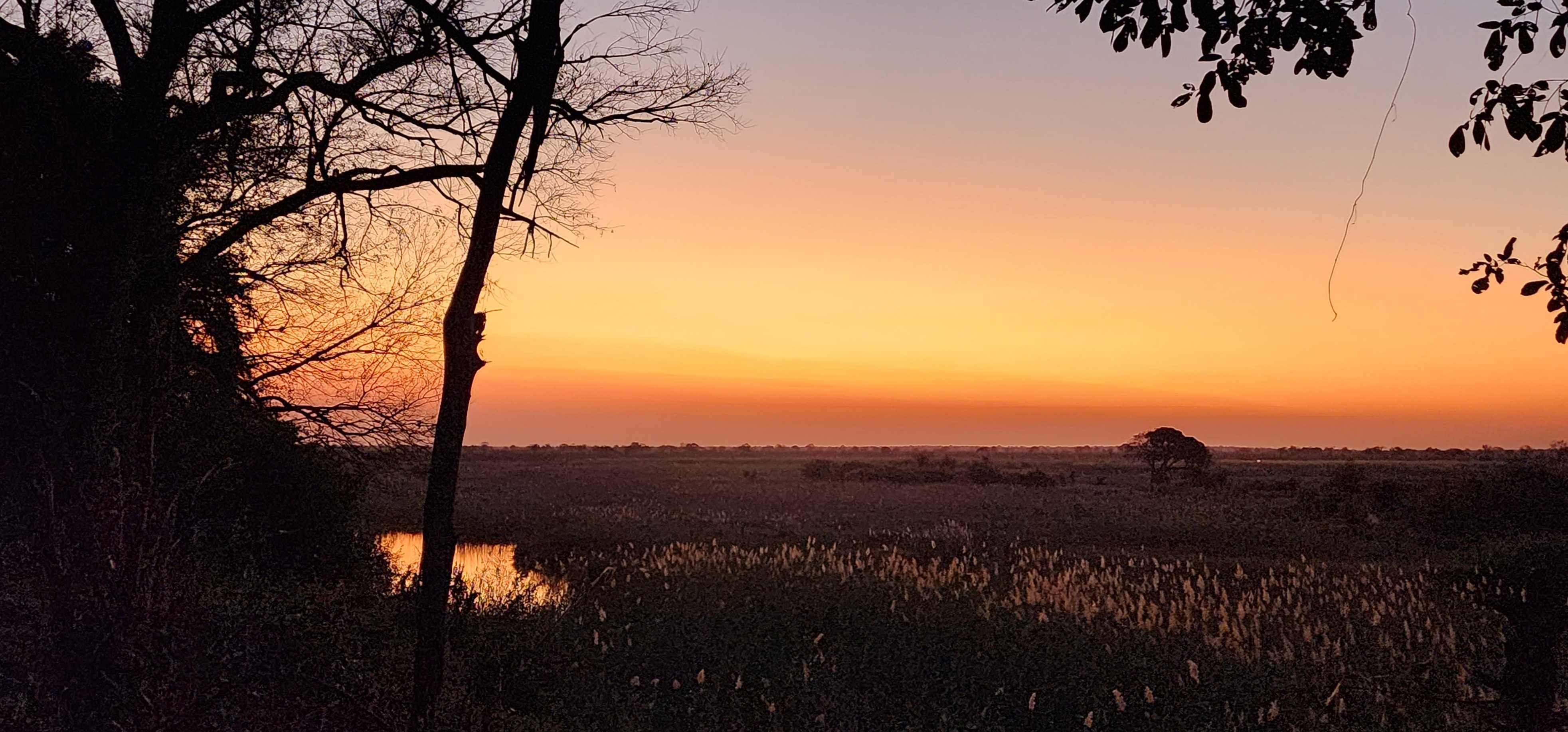 Driving the Caprivi Strip